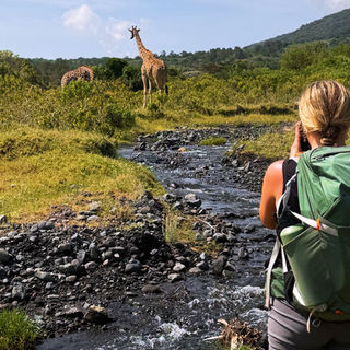 watching a giraffe