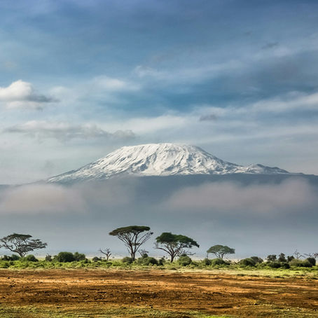 Mount Kilimanjaro Trekking Tour: The Definitive Guide to a Successful Summit