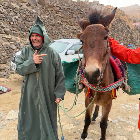 Local berber Muleteer