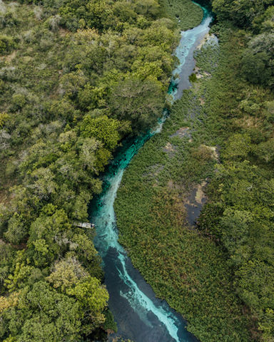 aerial view of forest with river alongside