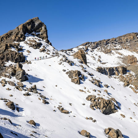 Machame vs Lemosho Route: Which Kilimanjaro Route Is Best?