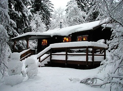 Home Betsy S Cabins