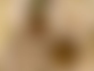 11月27日のお給食