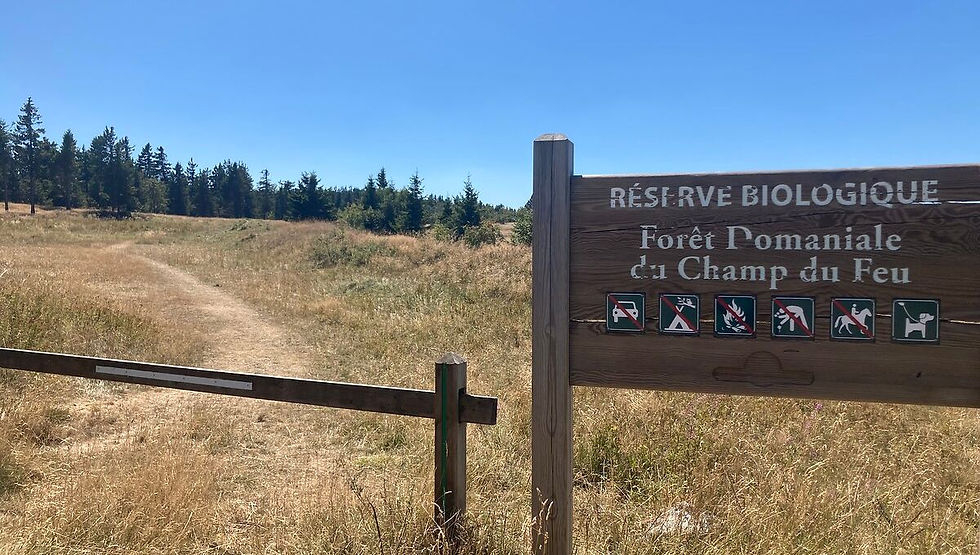 Le Champ du feu, espace protégé