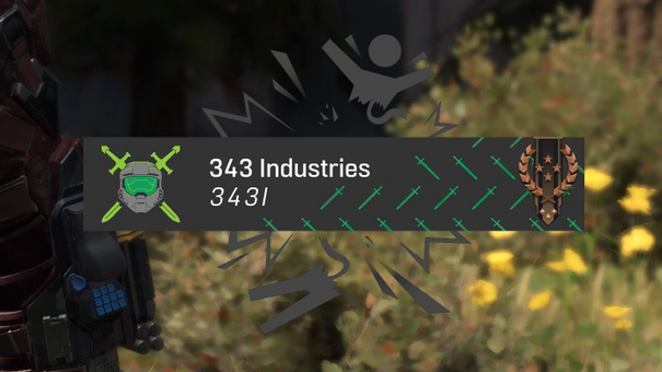 Career Rank displayed on Nameplate