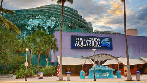FLA Aquarium.jpeg