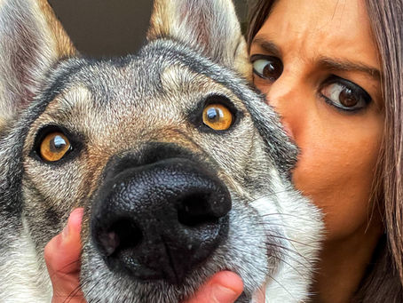 Être une femme entrepreneure dans le monde animalier : dépasser les préjugés et construire sa propre place