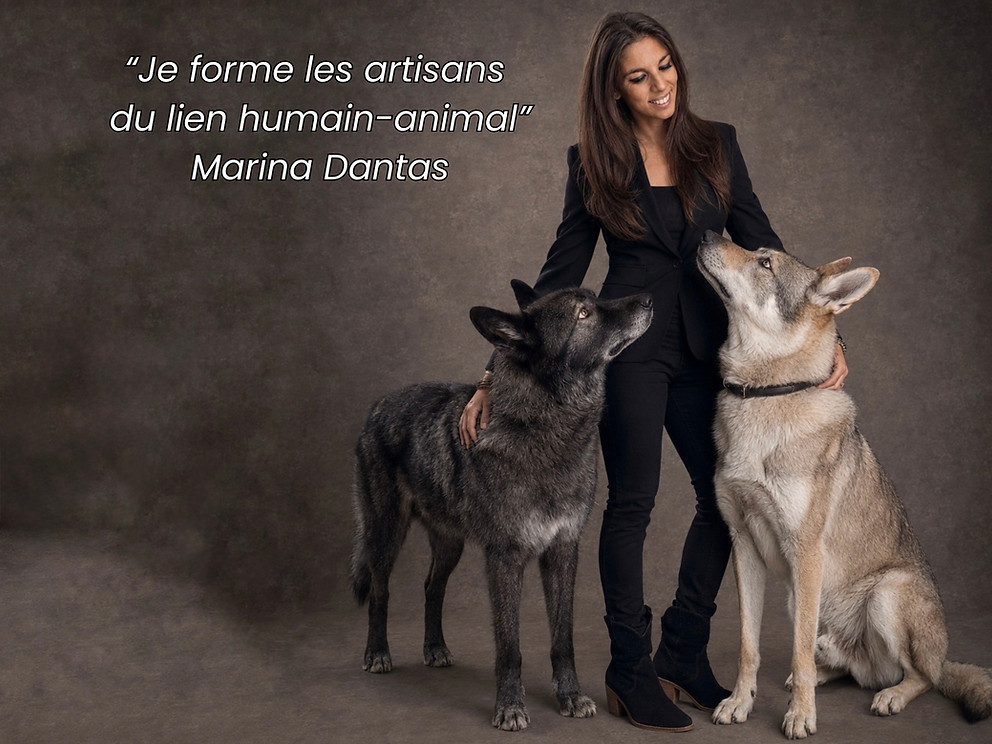 Photographie Marina Dantas et ses chiens loups.jpg
