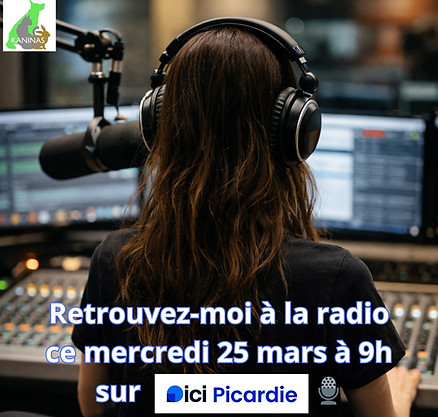 Marina Dantas Ici picardie.jpg