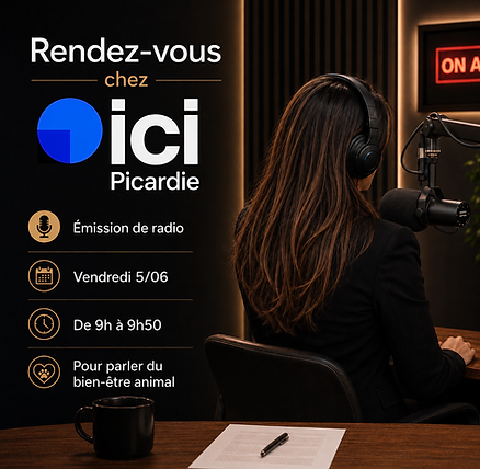 radio ici picardie marina dantas.PNG