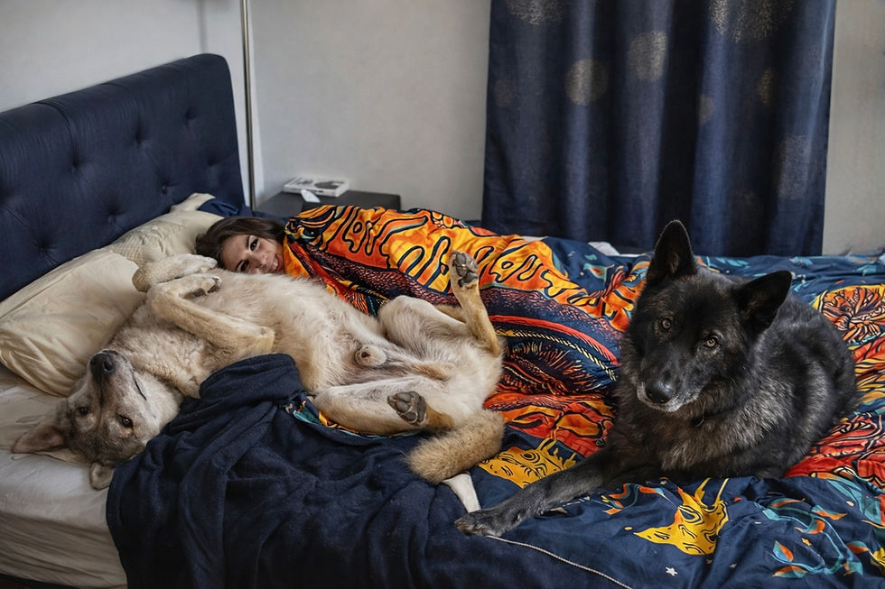 Deux chiens loups allongés sur un lit