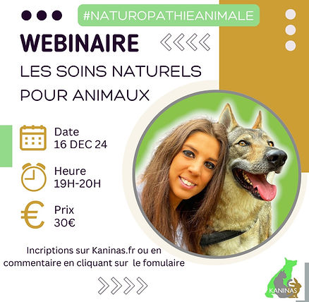 webinaire les soins naturels pour animaux.jpg