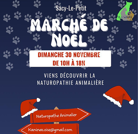 marché de noel sacy le petit