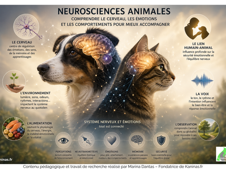 Travail de neuroscience animale Marina Dantas