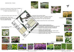 osazovací plán - trvalky