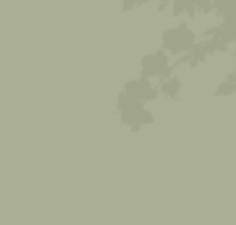 Copy of Jodee Marques Social Templates_edited.jpg