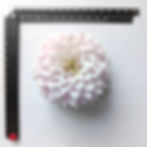 Thumbnail: Sweet Love