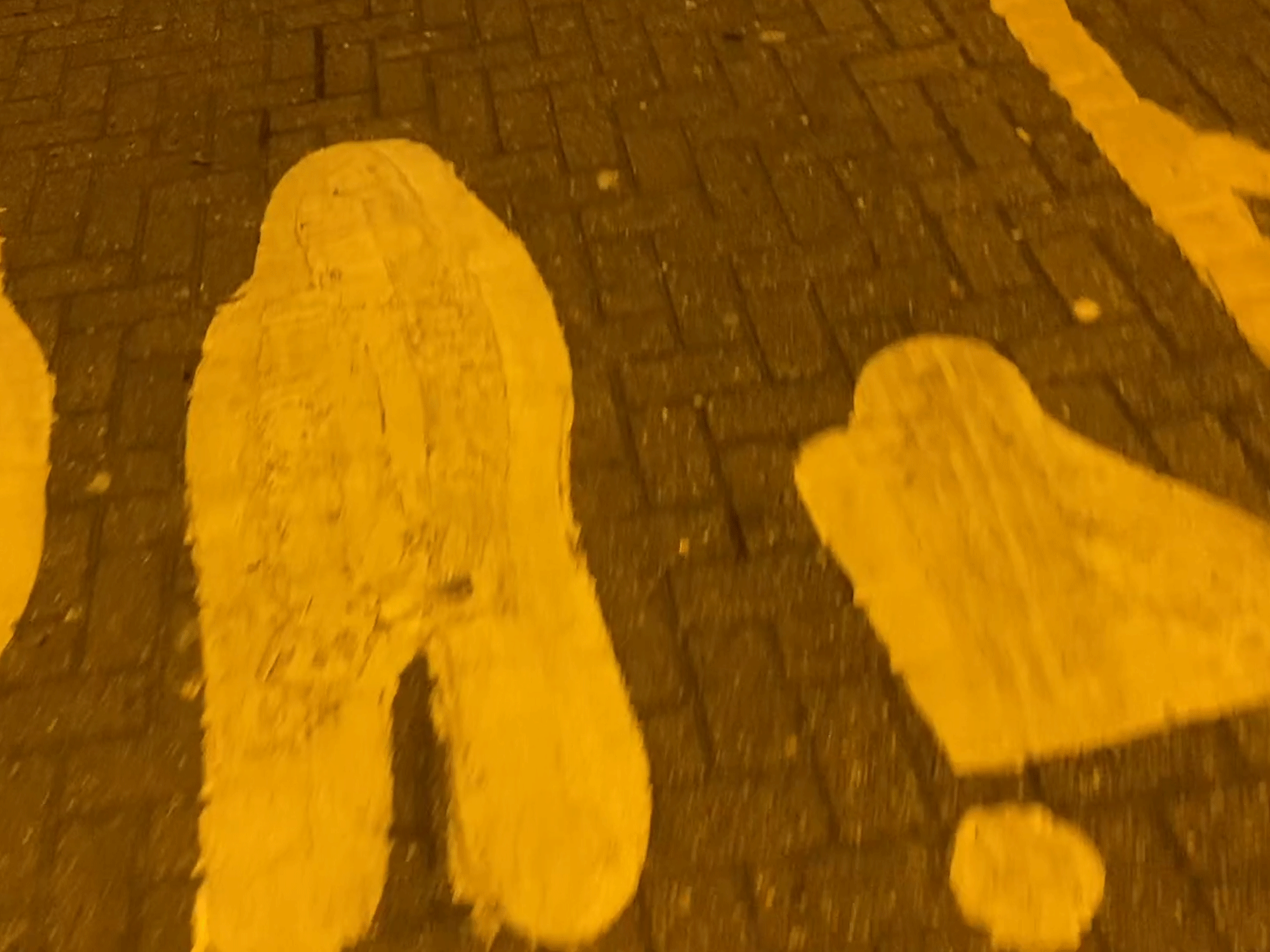 fur_timelapse1.gif