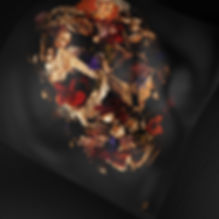 image1.jpeg