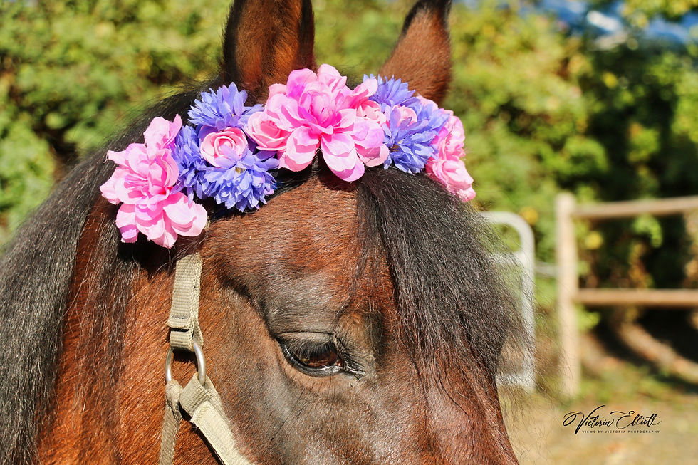 Rosie Flower Crown
