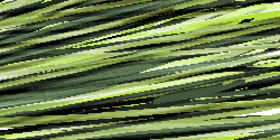 random background-1.png.png