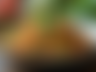 Nourishing Family Meals for Under 15 Dollars: Weekly Protein-Packed Recipes