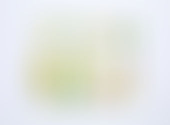 Spotlight on Essential Oils used for Aromatherapy Massage at The Pixie Retreat