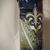 Thumbnail: Customized 20oz Tumbler