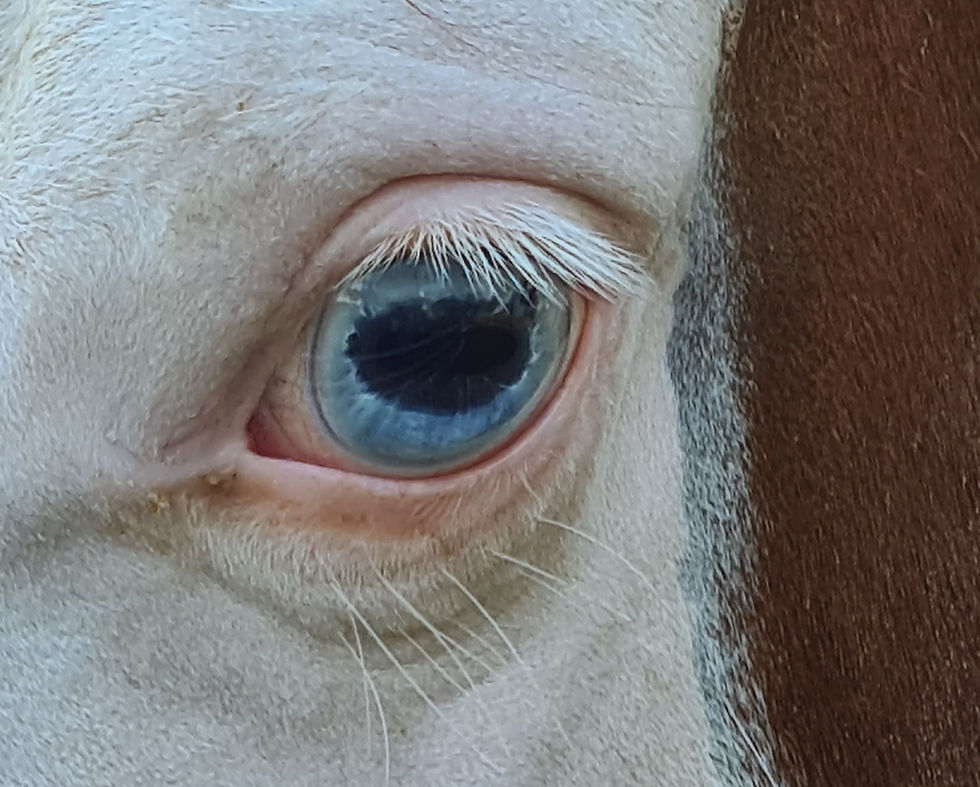 20201006_181344_edited