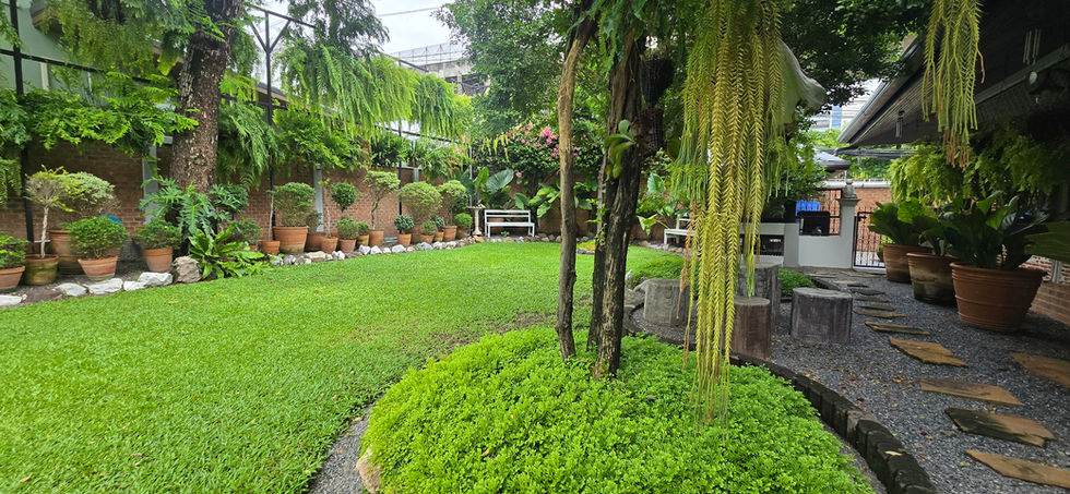 Landscape Design and Consultation