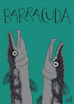 BARRACUDA_pequeno