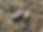 B88B0781-390C-457A-8A90-89885651D77E.JPG