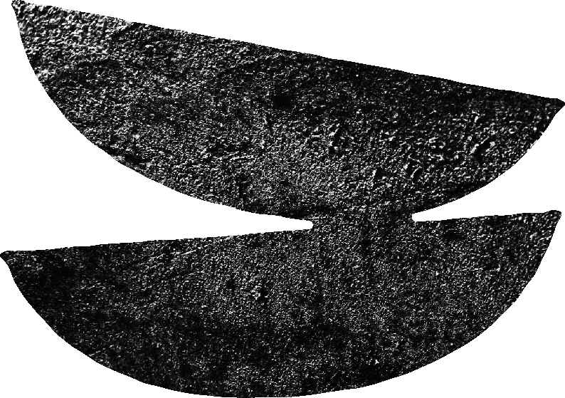 Ativo 4 - cópia.png