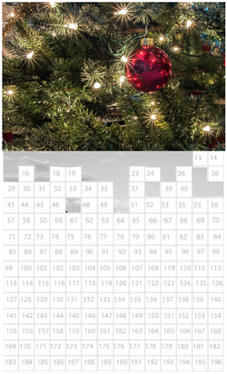 Help us Celebrate Christmas in July!