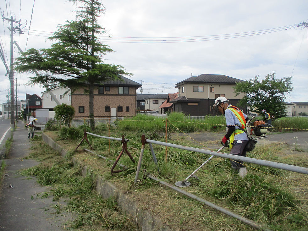 夏のボランティア作業