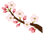 sakura_kaika.png