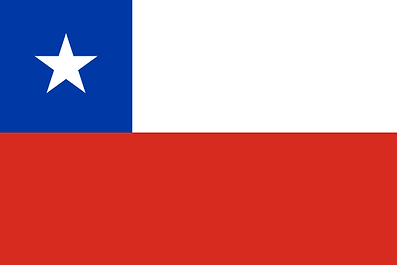 Anforderungen für Reisen mit Haustieren nach Chile