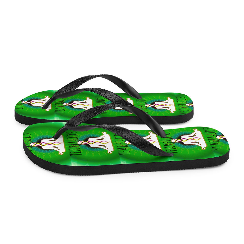 Thumbnail: Flip-Flops