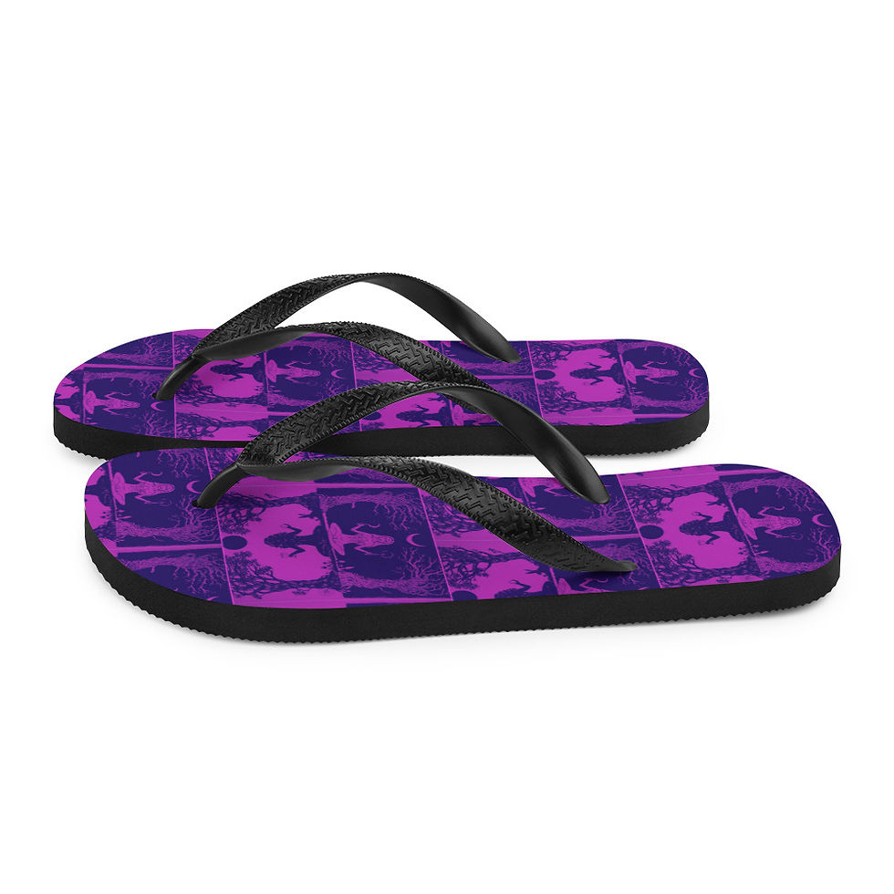 Thumbnail: Flip-Flops