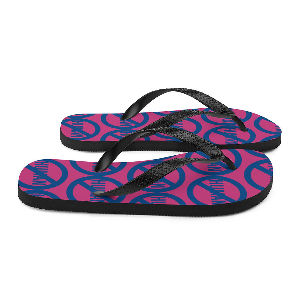 Thumbnail: Flip-Flops