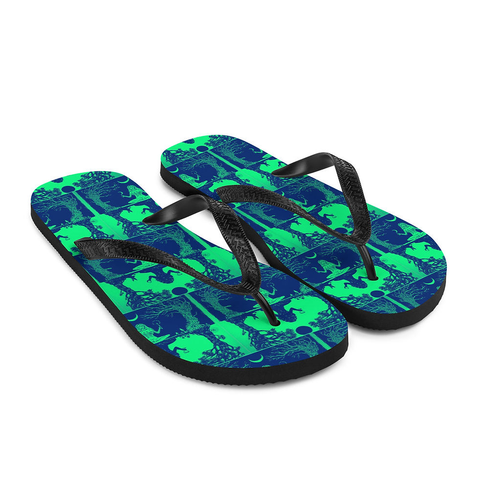Thumbnail: Flip-Flops