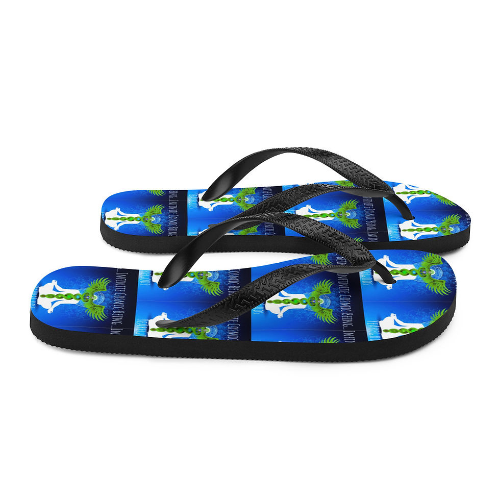 Thumbnail: Flip-Flops