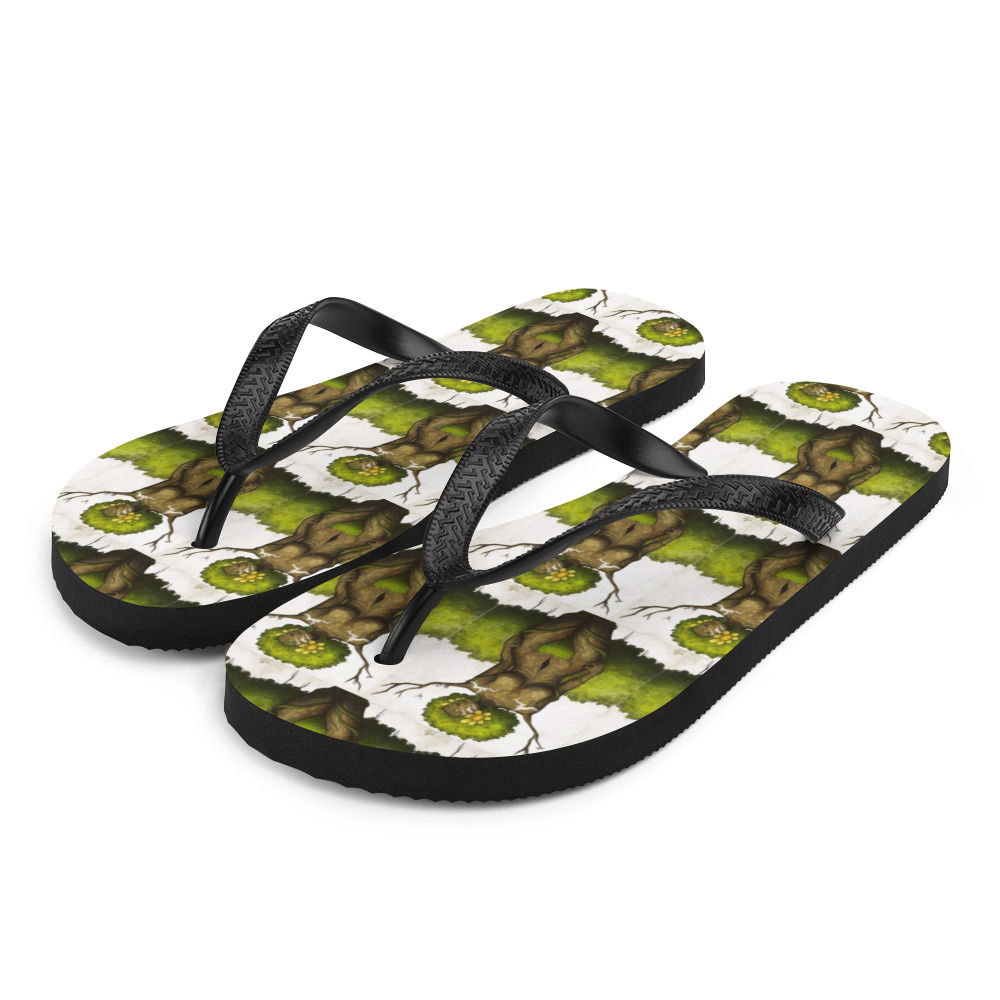 Flip-Flops