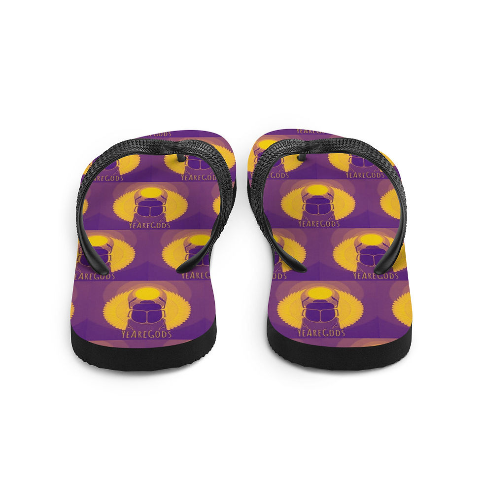 Thumbnail: Flip-Flops