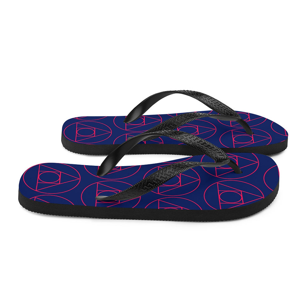 Thumbnail: Flip-Flops