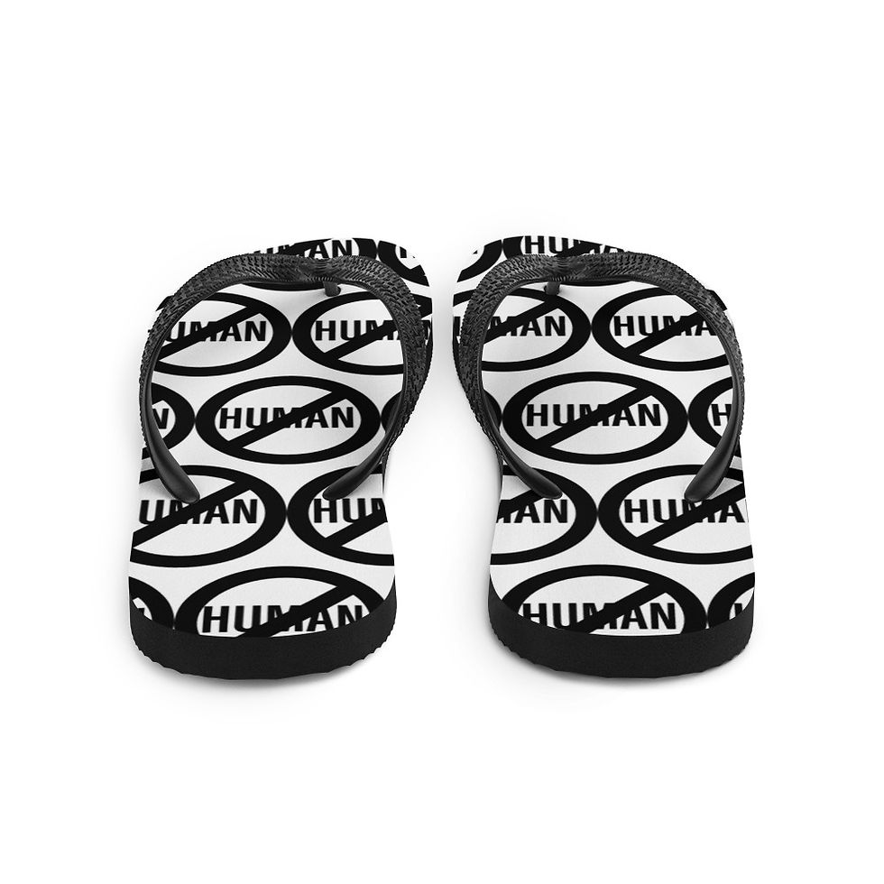 Thumbnail: Flip-Flops