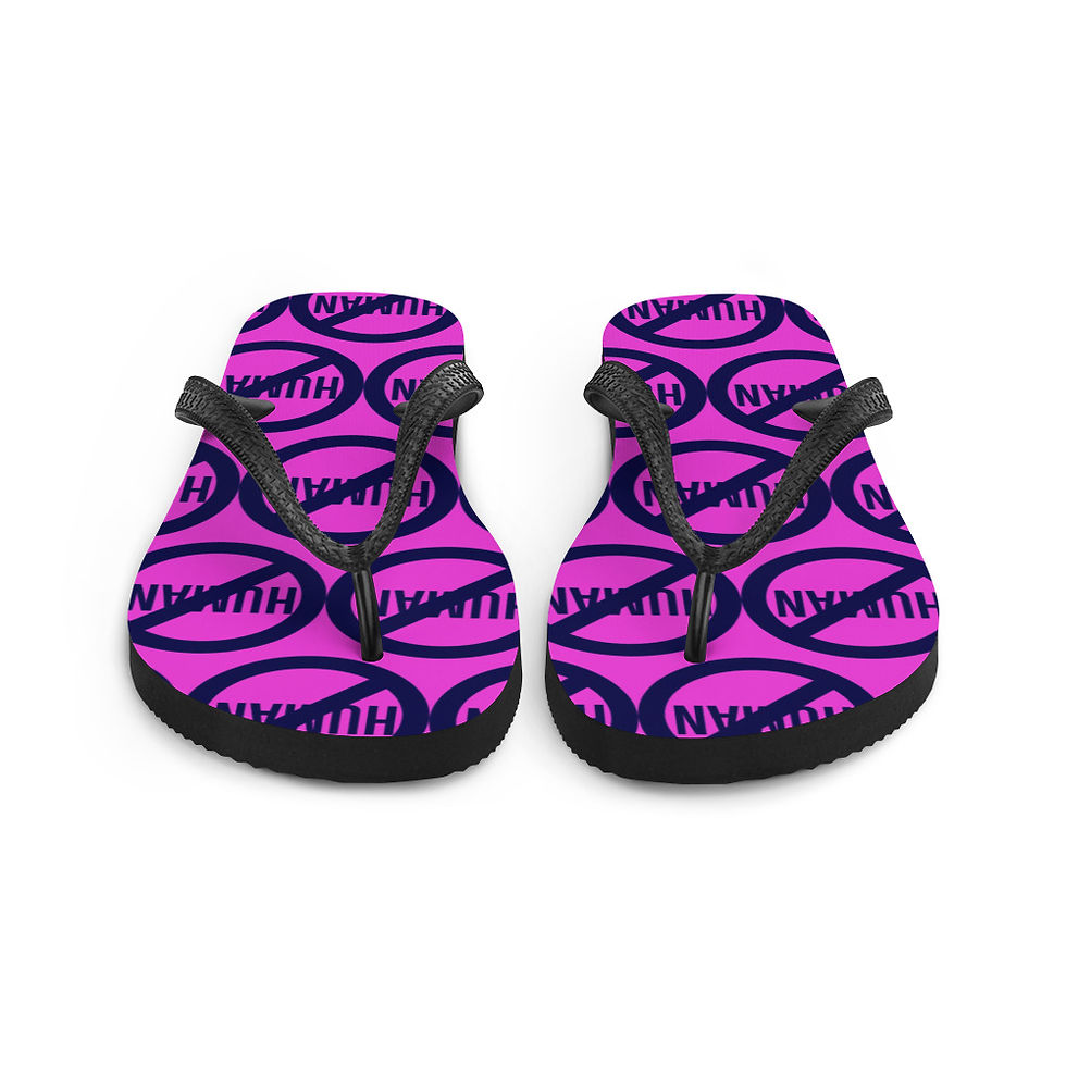Thumbnail: Flip-Flops