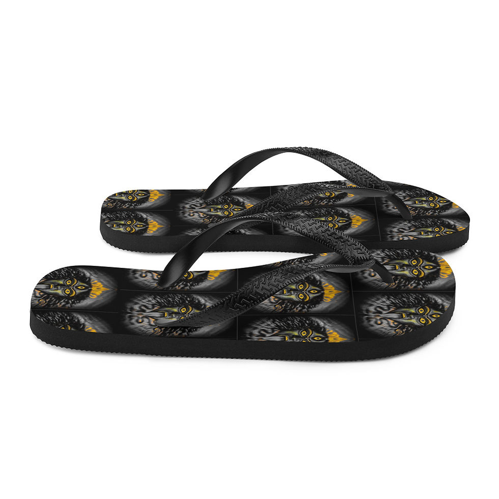Thumbnail: Flip-Flops