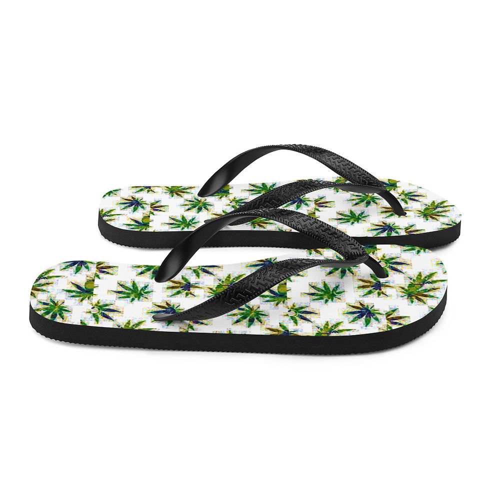 Thumbnail: Flip-Flops