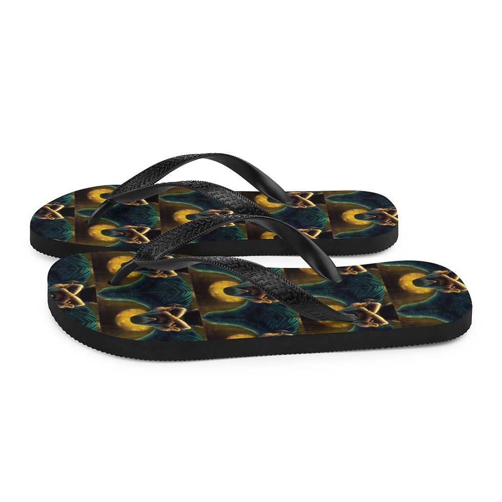 Thumbnail: Flip-Flops